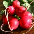 Spring Radishes with Shallots & Vinegar