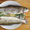 Roasted Rainbow Trout